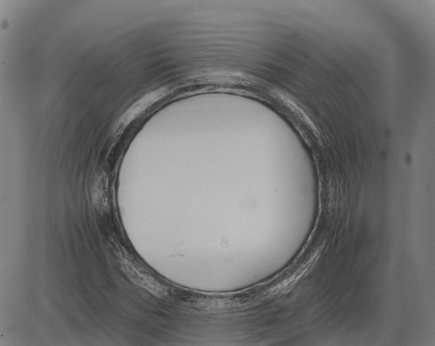 X0000083660970200703051747