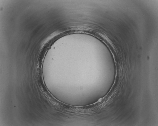 X0000083660971200703051747