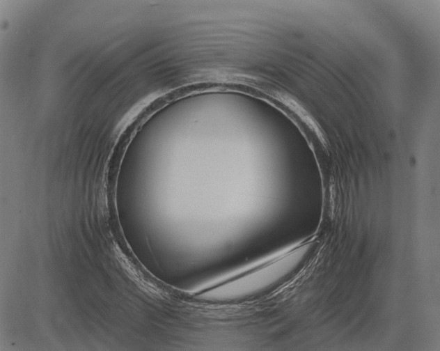 X0000083660972200703051747