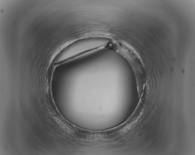 X0000083660973200703051747