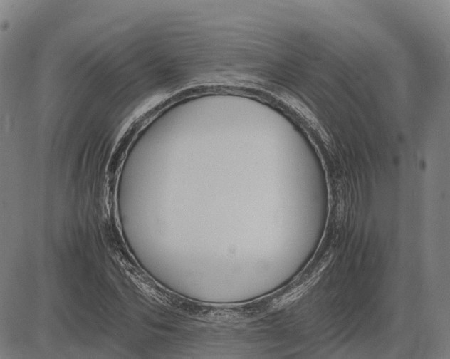 X0000083660974200703051747