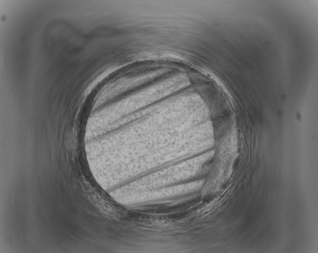 X0000083660975200703051747