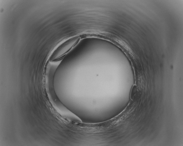 X0000083660976200703051747