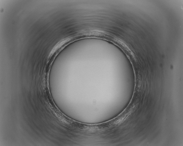 X0000083660978200703051747