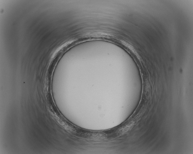 X0000083660979200703051747