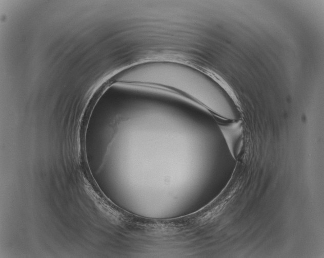 X0000083660980200703051747