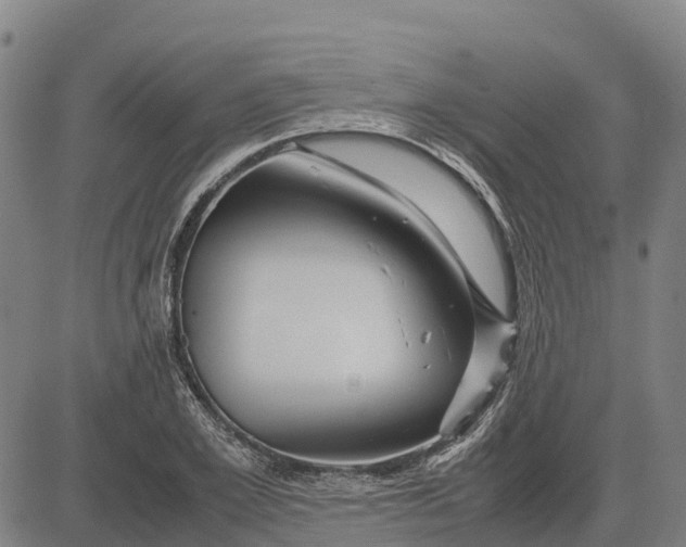 X0000083660981200703051747