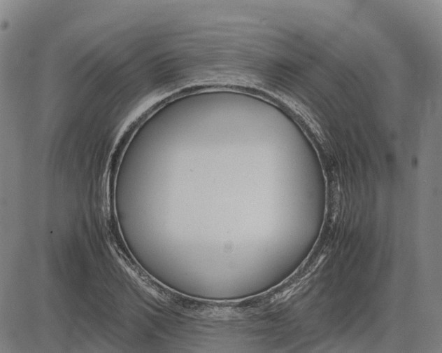 X0000083660982200703051747