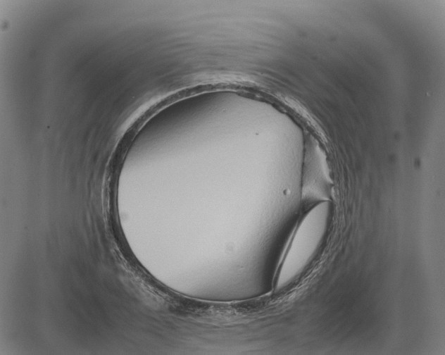 X0000083660983200703051747