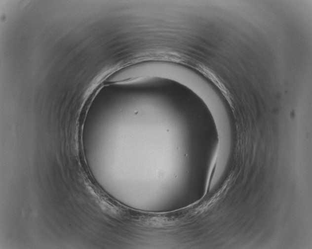 X0000083660986200703051747