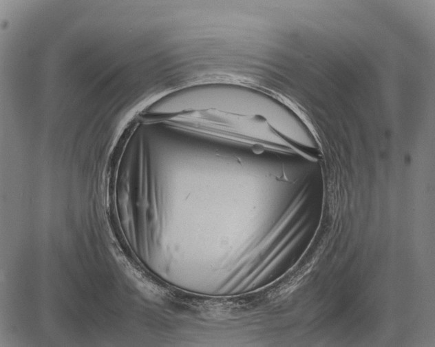 X0000083660987200703051747