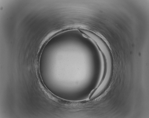 X0000083660989200703051747