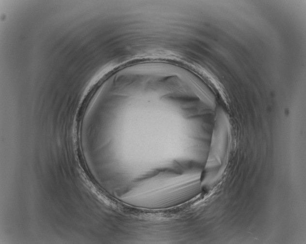 X0000083660990200703051747