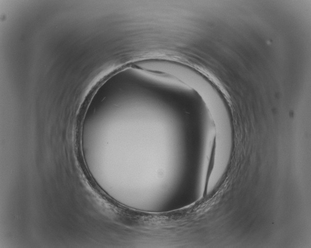 X0000083660991200703051747