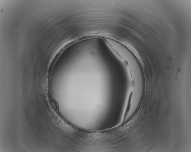 X0000083660992200703051747