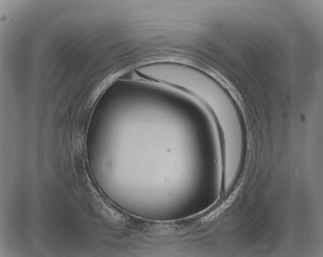 X0000083660993200703051747