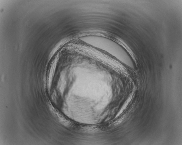 X0000083660994200703051747