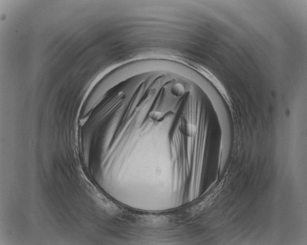 X0000083660996200703051747