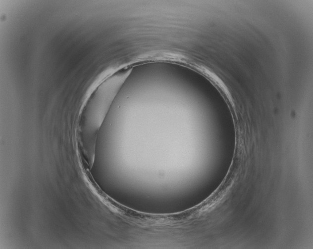 X0000083660997200703051747