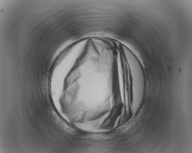 X0000083660998200703051747