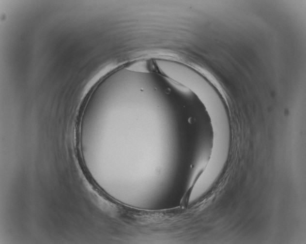 X0000083660999200703051747