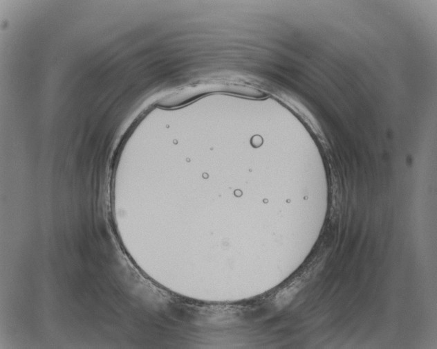 X0000083661000200703051747