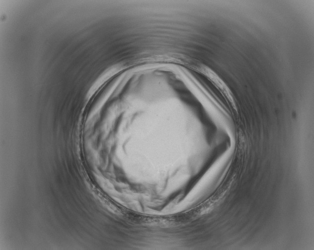 X0000083661002200703051747