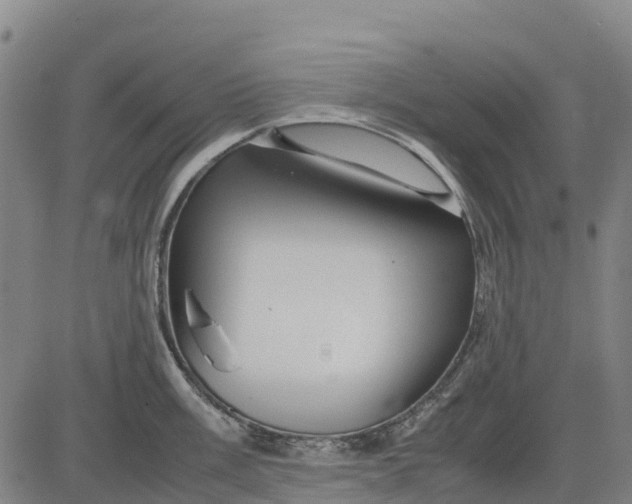 X0000083661003200703051747