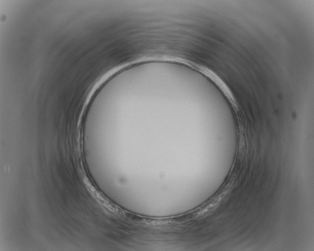 X0000083661004200703051747