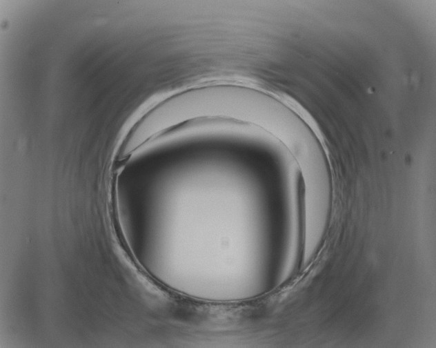 X0000083661005200703051747