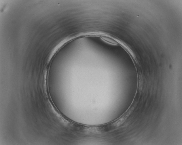 X0000083661006200703051747