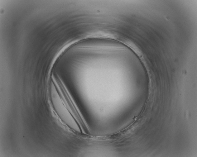 X0000083661008200703051747