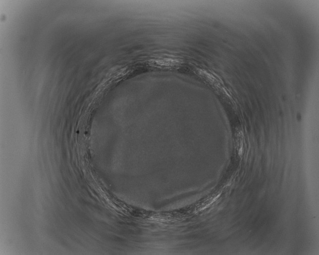 X0000083661009200703051746