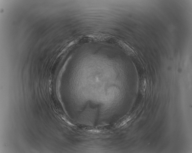 X0000083661010200703051746