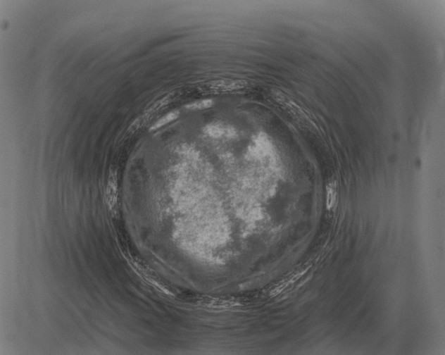 X0000083661011200703051746