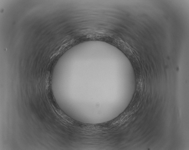 X0000083661012200703051746