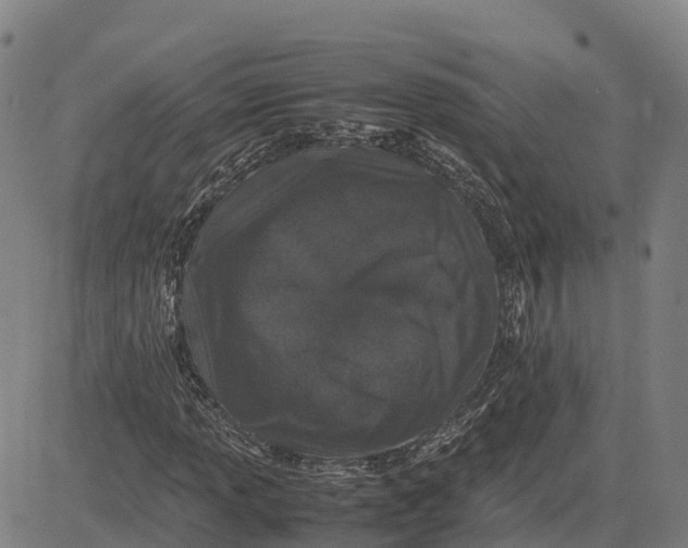 X0000083661013200703051746