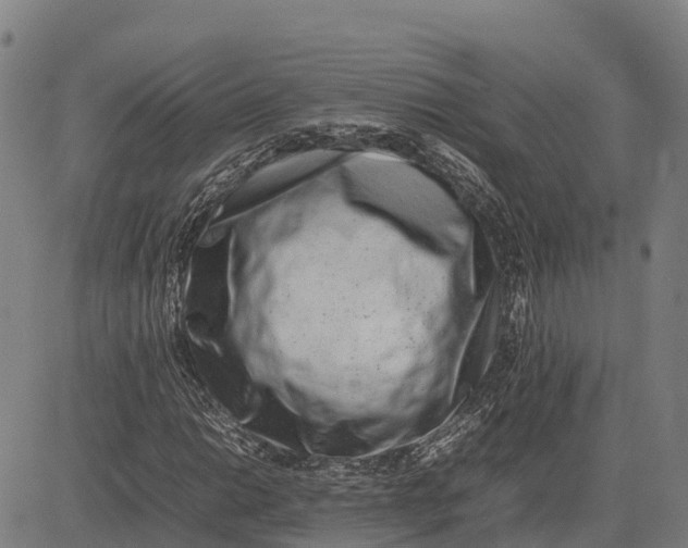 X0000083661014200703051746