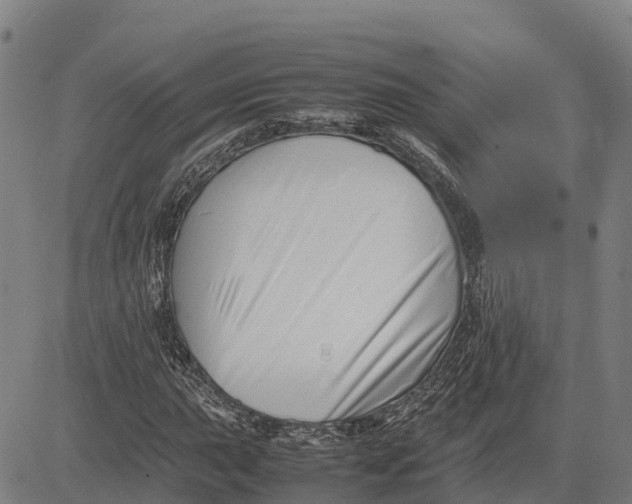 X0000083661015200703051746