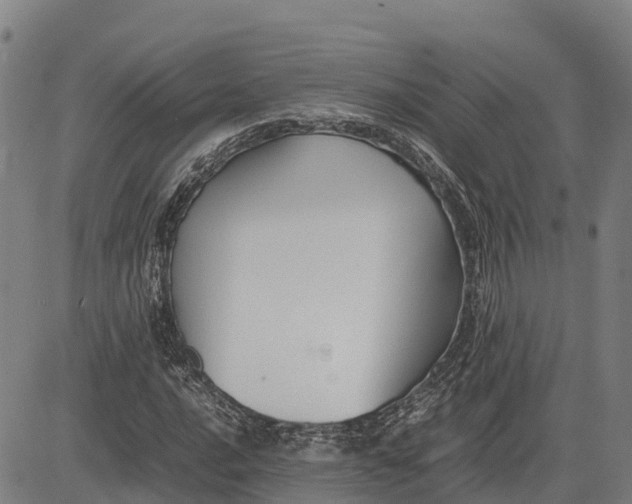 X0000083661016200703051746