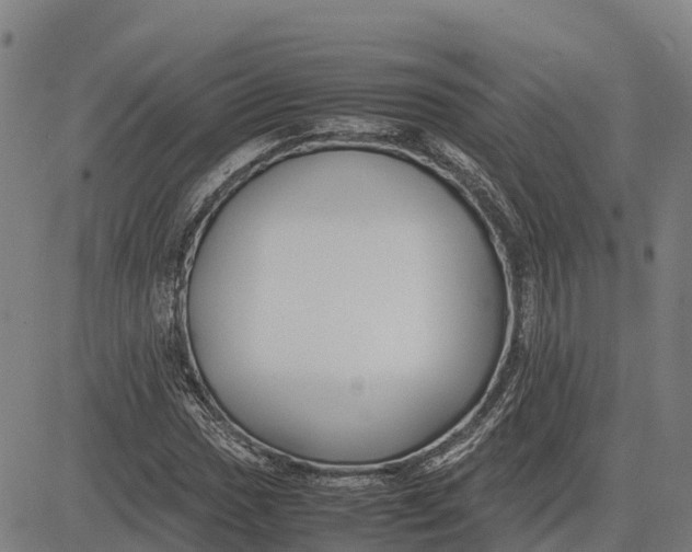 X0000083661017200703051746