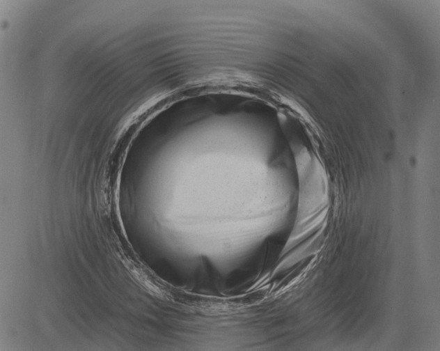 X0000083661018200703051746