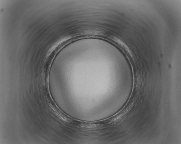 X0000083661019200703051746