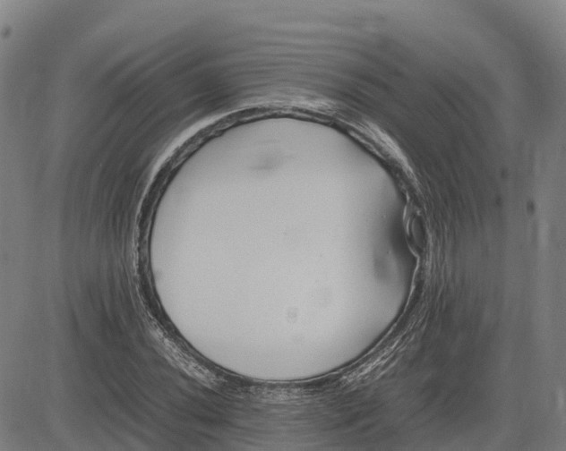 X0000083661020200703051746