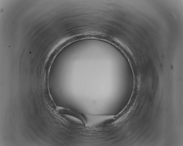 X0000083661021200703051746