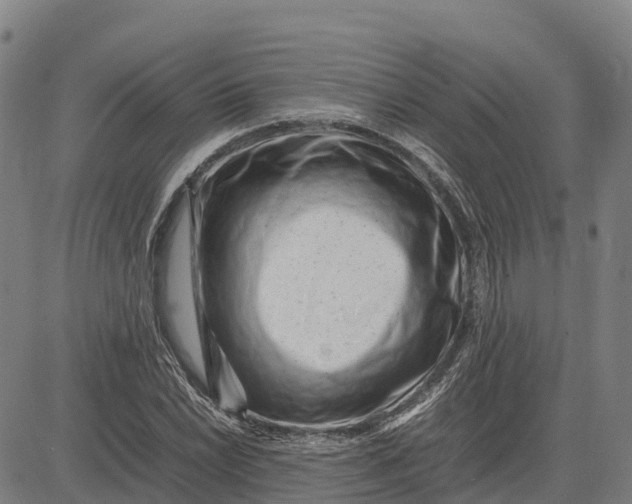 X0000083661022200703051746