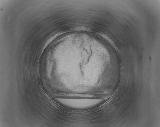 X0000083661023200703051746