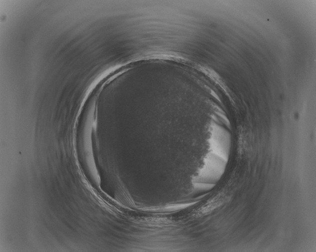 X0000083661024200703051746