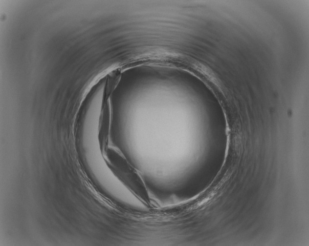 X0000083661026200703051746