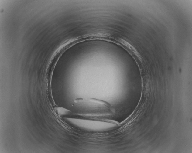 X0000083661027200703051746